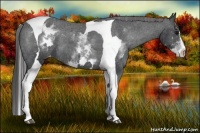 Horse Color:White Spotted Black Splash Tobiano Frame Varnish