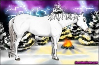 Horse Color:White Spotted Black Splash Tobiano Frame Varnish 