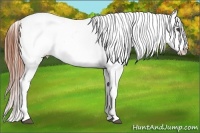 Horse Color:White Spotted Black Splash Tobiano Frame Blanket