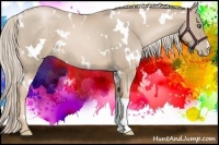 Horse Color:White Spotted Chocolate Palomino Pearl 