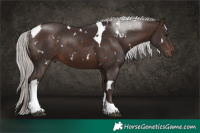Horse Color:White Spotted Silver Brown Tobiano