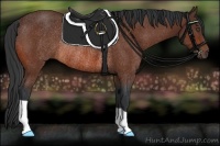Horse Color:Bay Rabicano 