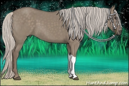 Horse Color:Silver Grullo 