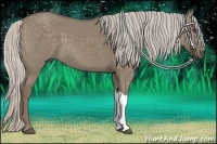 Horse Color:Silver Grullo 