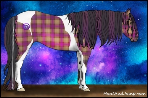Horse Color:Plaid  Bay Tobiano 