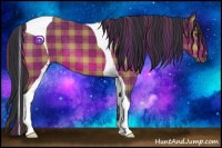Horse Color:Plaid Bay Tobiano