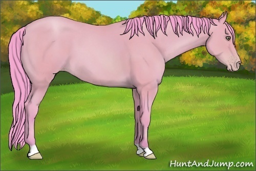 Horse Color:Watercolor Amber Champagne