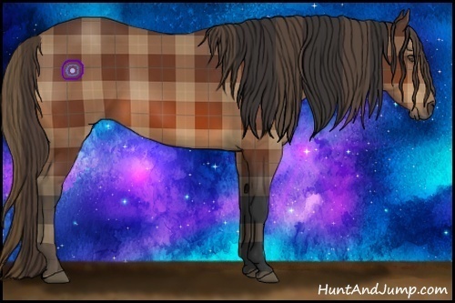 Horse Color:Plaid  Bay 