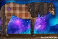 Horse Color:Plaid  Bay 