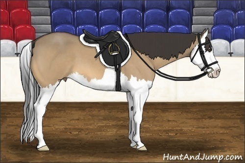 Horse Color:Buckskin Roan Dun Splash 