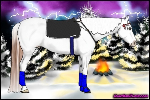 Horse Color:Red Dun Roan Splash Appaloosa 