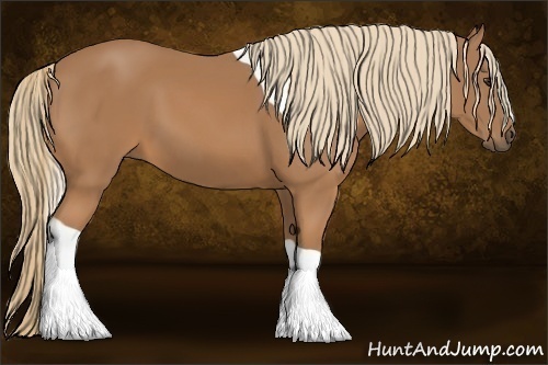 Horse Color:Chestnut Tobiano