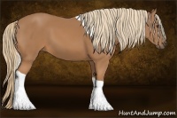 Horse Color:Chestnut Tobiano 