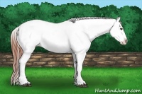 Horse Color:Bay Varnish Rabicano