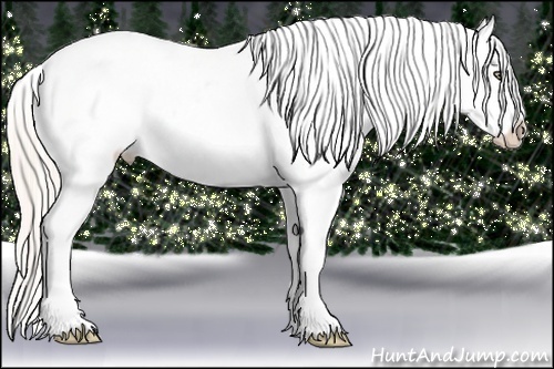 Horse Color:Silver Classic Champagne Roan Dun Splash Tobiano Frame Blanket Rabicano 