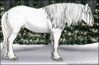 Horse Color:Silver Classic Champagne Roan Dun Splash Tobiano Frame Appaloosa Rabicano