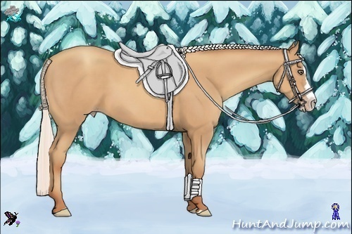 Horse Color:Silver Classic Champagne Sabino Splash 