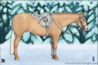 Horse Color:Silver Classic Champagne Sabino Splash