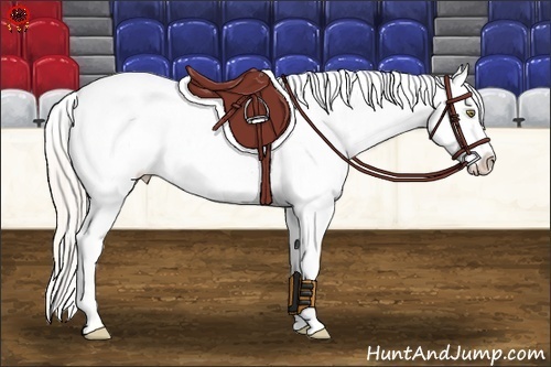 Horse Color:Silver Sable Champagne Snowcap 