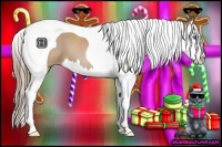 Horse Color:Black Pearl Splash Tobiano 