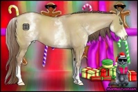 Horse Color:White Spotted Grullo Pearl Sabino