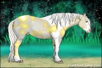 Horse Color:Chocolate Palomino Ice Pearl Splash Tobiano 