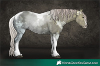 Horse Color:Silver Black Ice Splash Tobiano Frame 