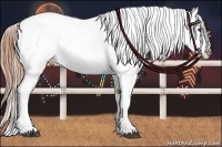 Horse Color:Chestnut Ice Near Leopard