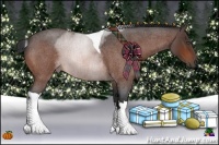 Horse Color:Bay Roan Tobiano