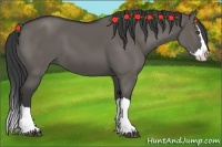 Horse Color:Grullo Splash 