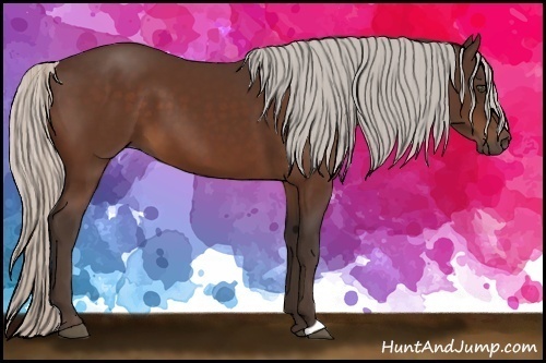 Horse Color:Silver Bay 