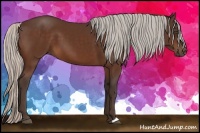 Horse Color:Silver Bay
