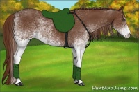 Horse Color:White Spotted Chestnut