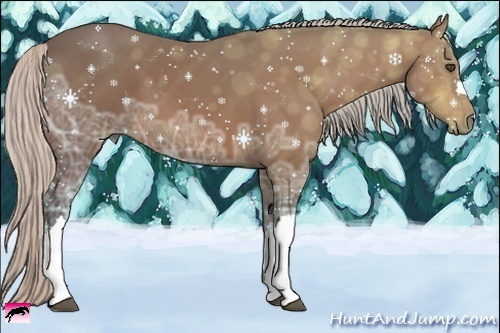 Horse Color:Silver Bay Ice 