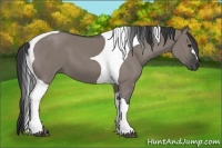 Horse Color:Grullo Tobiano