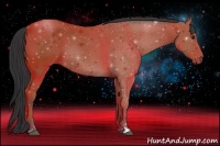 Horse Color:Bay Frame