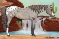 Horse Color:Brown Roan Dun Varnish