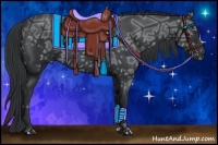 Horse Color:Black Ice 