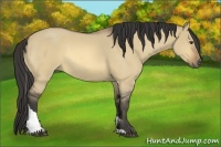 Horse Color:Buckskin Roan Dun Tobiano