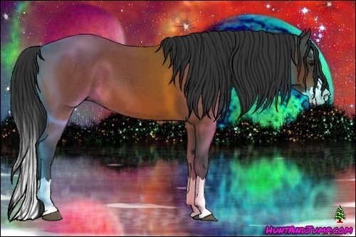 Horse Color:Bay Roan Splash