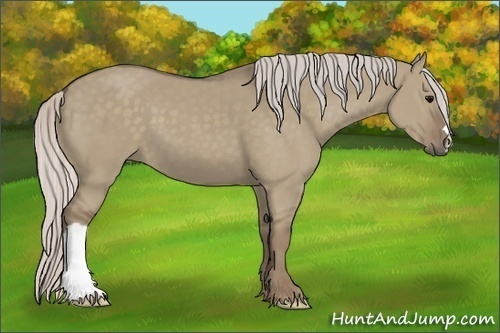 Horse Color:Silver Grullo