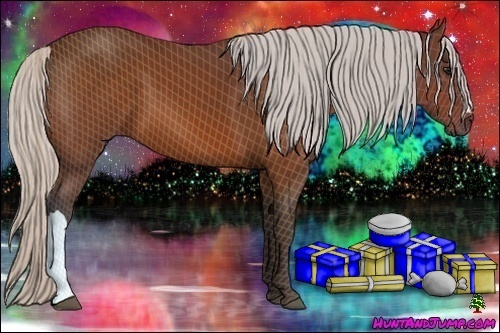 Horse Color:Silver Bay 