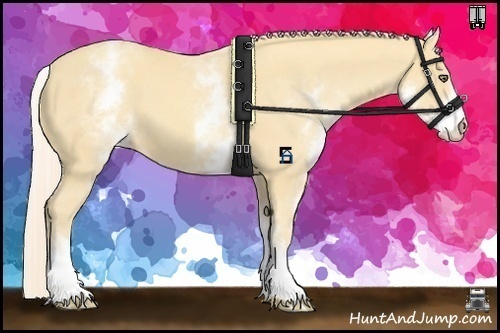 Horse Color:White Spotted Gold Cream Champagne 