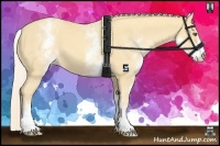 Horse Color:White Spotted Gold Cream Champagne