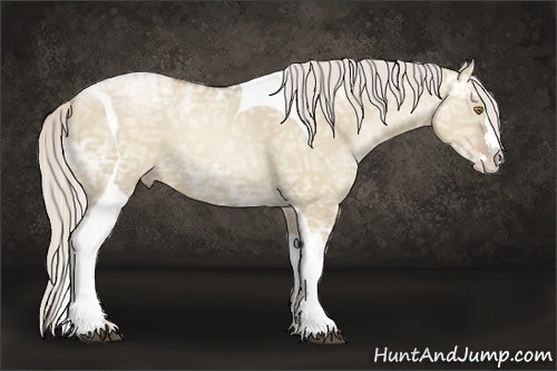 Horse Color:Silver Grullo Ice Pearl Splash Tobiano 