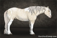 Horse Color:Silver Grullo Ice Pearl Splash Tobiano 