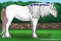 Horse Color:Bay Dun Sabino Splash Varnish