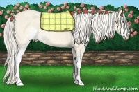 Horse Color:Cremello Dun Sabino