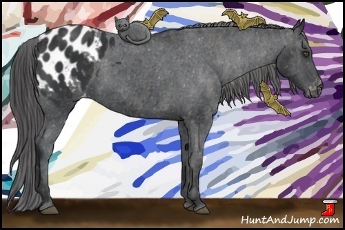 Horse Color:Black Appaloosa  Brindle