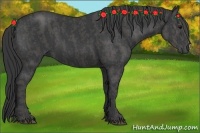 Horse Color:Black Brindle
